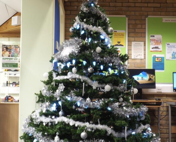 Thurston Library Christmas Trees 2021